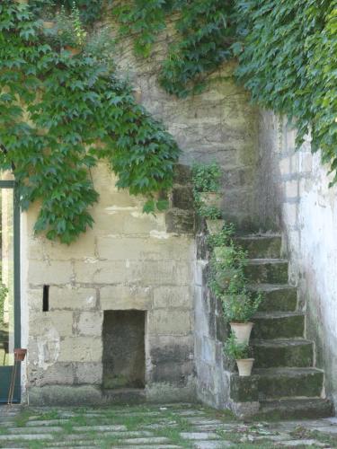 Tenuta Sant'Andrea - image 8