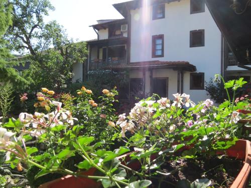 Oazis Guesthouse - image 3