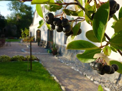 Aronia Park - Hotel - Lubiechowa