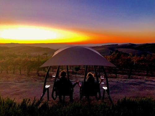 Skats, The Eden House Vineyard in Templtona (CA)