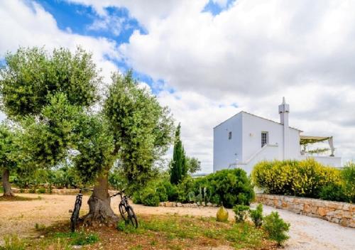 Masseria Montefieno gîte à louer Castiglione