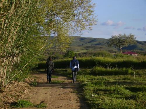  Quinta do Barracao da Vilarica in Lodões
