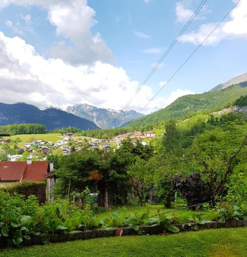 Aparthotel Pan Haus Room Type - Double Room with Mountain View