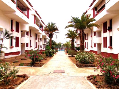  Apartment Altemar in Las Americas, Pension in Playa de las Americas