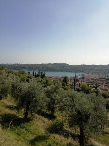 Agriturismo Podere Nigriano - image 6