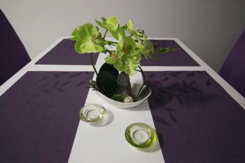 IT Apartment - image 3