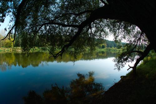 Leśny Ośrodek Szkoleniowy w Puszczykowie