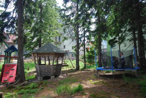 Zelena Dacha - main image