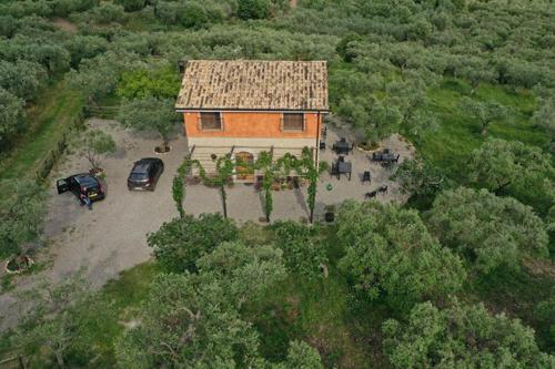  B&B Rifugio tra gli Ulivi in Campagna