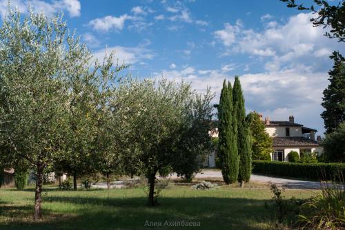 Terra della Lanterna