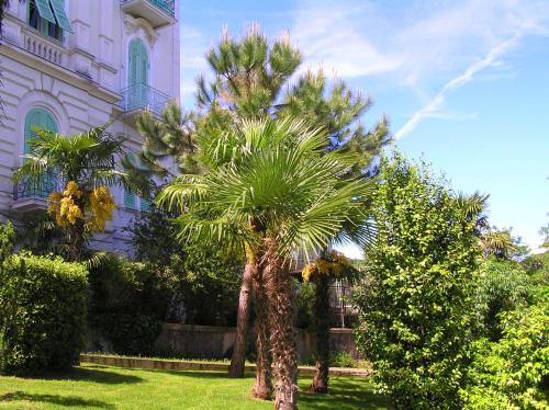  Studio apartment Mimoza, Unterkunft in Opatija