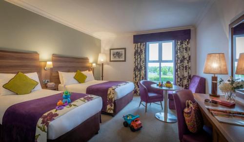 Maldron Hotel & Leisure Centre, Oranmore Galway in Galway Airport 