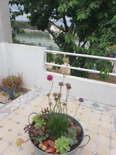  Apartment Lucina in Pašman