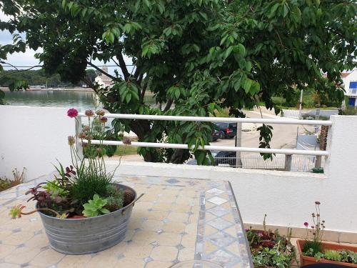  Apartment Lucina in Pašman