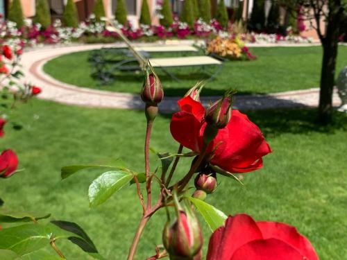 Hotel Olimpia Venice, BW Signature Collection 3sup