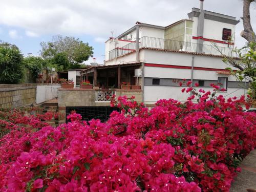 Hotel Sibilla Residence in Pozzuoli