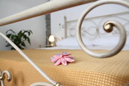 B&B Panta Rei