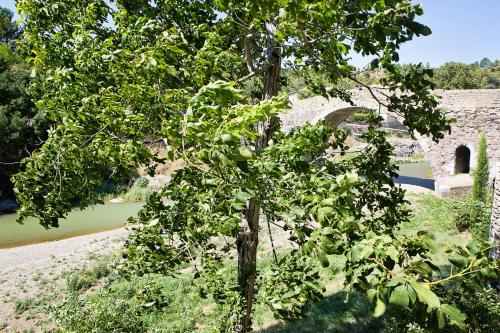 The Balcony Gîte - Riverside Lagrasse