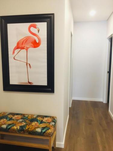  Flamingo House - Braga Guesthouse in Braga