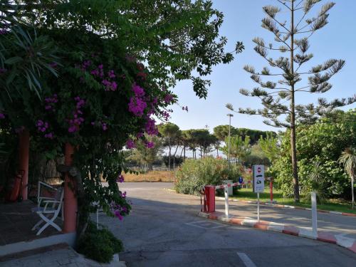 Camping La Buganvilla - image 9
