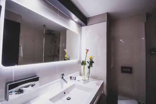 Mercure Pau Palais des Sports - image 14