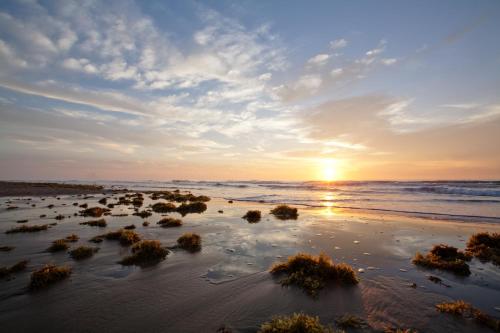 Campeche Cove #1 - image 2