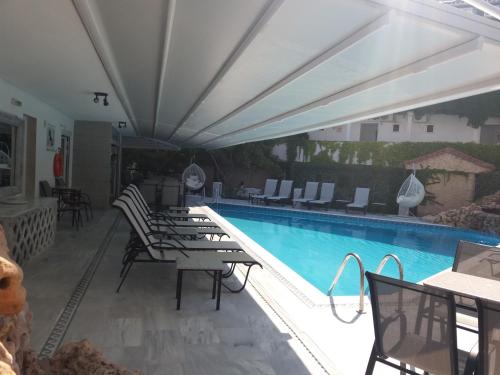 Pegasus Hotel - image 2