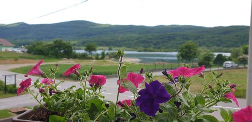  Apartments Pausic in Ogulin