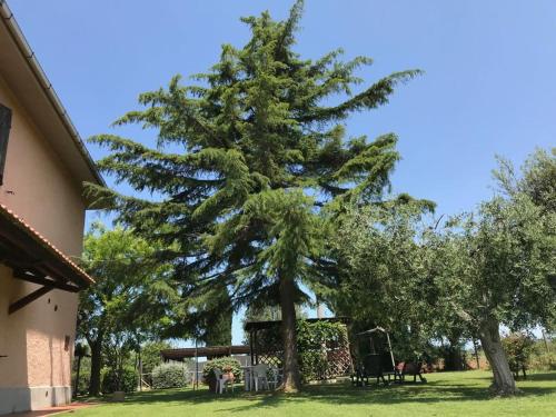 Agriturismo San francesco 5
