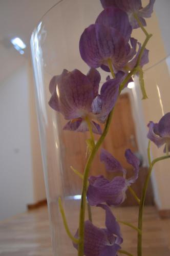 Casa São Bernardo de Claraval - image 9