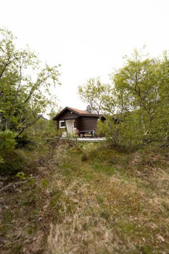 Haugteig, Lyngværet (Foto 2)