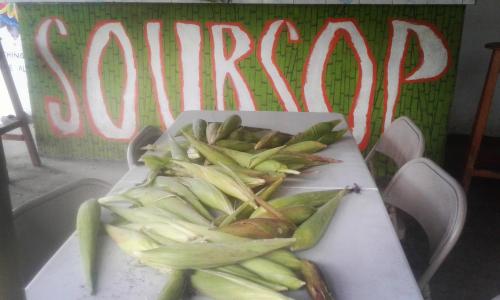 Soursop Hostel in ชิริกุย-บัมบิโต