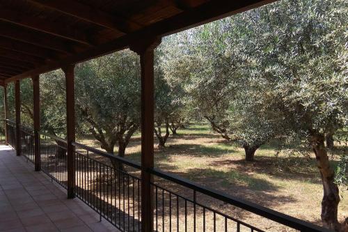 Mallios Home FLOKA close to Ancient Olympia in Flokas (Olympia)