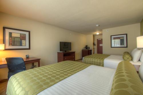 Cobblestone Inn & Suites - Holyoke