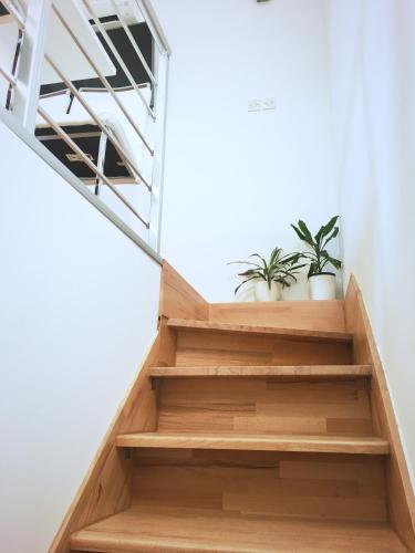  Apartman Nicolas in Veli Lošinj