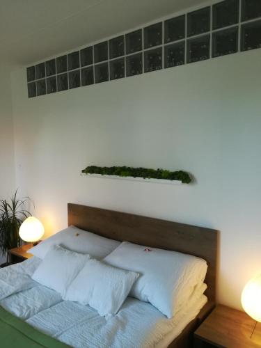 Csengettyu Apartman Eger