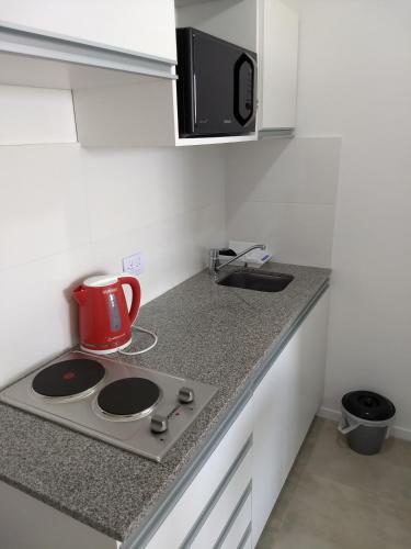 Studio Apartment image 4