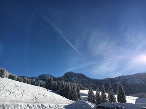 Surrounding environment, Restaurant Gautard - Chambres d'hotes Les Tavaillons in Thorens-Glieres