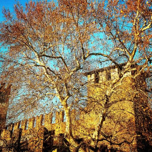 Casa Fola - City Centre Rooms - image 2