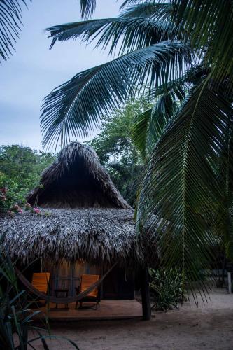 El Alquimista Yoga Spa