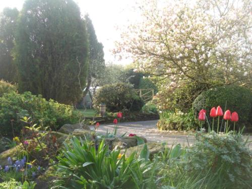 Yew Tree Cottage B B Matlock Bed N Breakfast Price Address Reviews