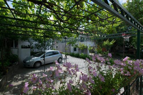 Apartments Miroslava - image 5