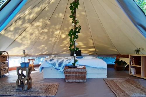 Hoopoe Glamping