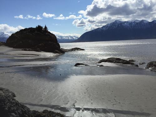 Trinity Escapes - Two Bedroom two bathroom full Apartment near airport, Anchorage (foto 9)
