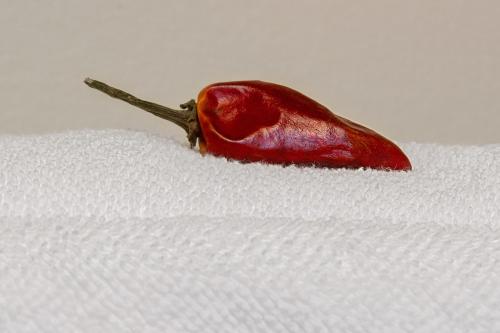 Standard Queen Room - Not Pet Friendly