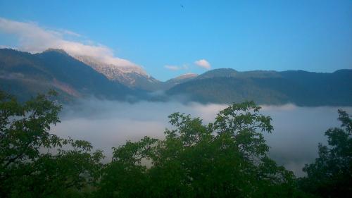 Guesthouse Levanta - image 2