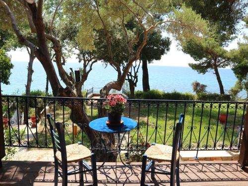  Seafront Studio Akti Elia in Elia