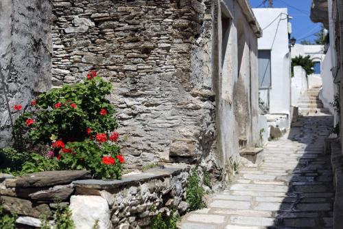  Angelika's traditional cycladic house in Istérnia