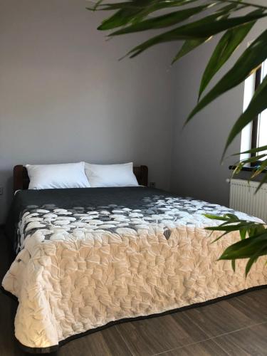 REEF APARTMENTS