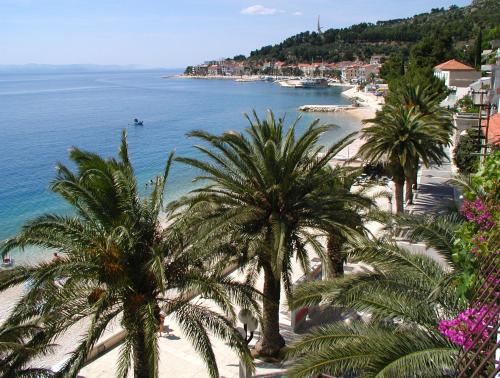 Villa DELFINA - Apartment - Podgora